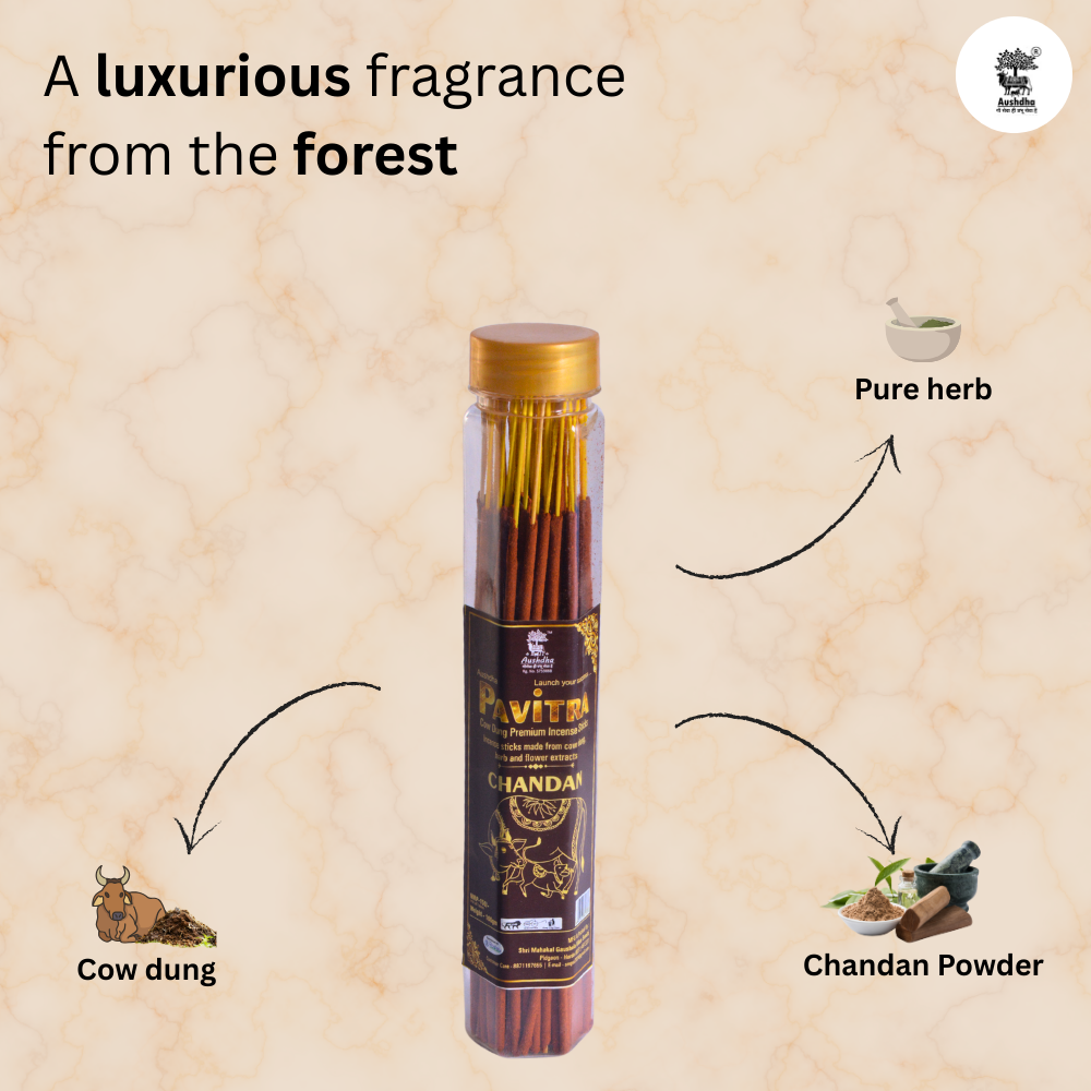 Aushdha Pavitra Cow Dung Premium Incense Sticks – 100g (Chandan Fragrance)